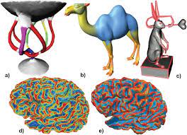Here you can calculate how many camels your girlfriend or boyfriend is worth. 3d Skeletons A State Of The Art Report Tagliasacchi 2016 Computer Graphics Forum Wiley Online Library