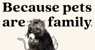 Petplan (pet insurance) · protect the pets you love. Best Pet Insurance By Petplan Health Insurance Coverage For Pets