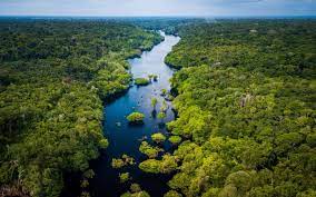 16 mars 2015 , rédigé par patrice et véronique publié dans #carnet de route. La Foret Amazonienne A Perdu Un Territoire De La Taille De L Espagne En 18 Ans