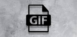 Description of raster and vector image formats: Best Image File Format For Photographers Envira Gallery