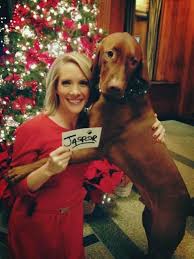 Dana Perino Mobile Uploads Facebook Most Beautiful Dog Breeds Dana Perino Vizsla