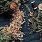 Festive Wreath Making & Afternoon Tea event image