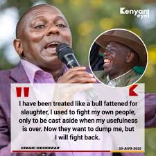 What does it mean to be truly liberated?