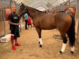 Haras de Vidal tem cavalo de R$ 310 mil e casa de seis quartos; veja