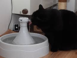 motion controlled water fountainfor