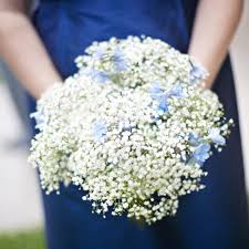 Learn how to grow baby's breath annual flowers with gardening tips and advice from burpee. Blue Bridesmaid Dresses Archives Bouquet Wedding Flower