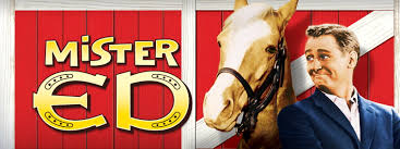 Image result for mister ed