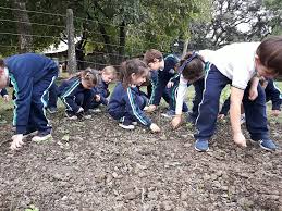 El ecopunto funciona como un centro para el conocimiento teórico práctico sobre el reciclado y la operación de dotar valor a los residuos para la rueda productiva, sumando lazos con docentes de las escuelas y con los centros de estudiantes, talleres tecnológicos y campañas de concientización. Taller De Educacion Ambiental Csr