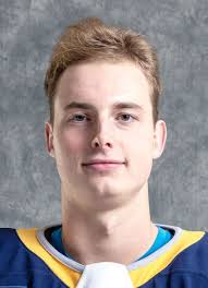 Player photos for the 2016-17 Fort Erie Meteors at hockeydb.com