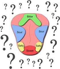 Taste Links In The Chain From Tongue To Brain Frontiers