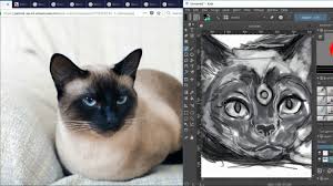 Check spelling or type a new query. Painting Siamese Cat Krita Part 1 Youtube