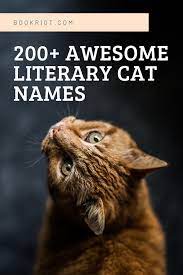 Famous cat names from books, cartoons, and pop culture • aslan (the chronicles of narnia) • bagheera (the jungle book) • behemoth (the master and margarita) 200 Literary Cat Names For Naming Your New Pet Book Riot