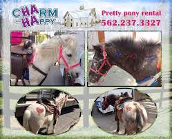 Looking for a pet friendly rental property for a professional couple. Charmandhappy Com Pony Ride Ponies Petting Zoo Farm Animals Traveling Rental Whittier Los Angeles Orange County