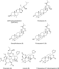 Image result for Trichilia prieuriana
