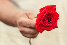 We did not find results for: 15 Flowers For My Love Images Top Collection Of Different Types Of Flowers In The Images Hd