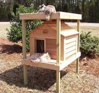 Insulated Cat House for Domestic or Feral Cats - FREE SHIPPING