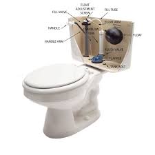 Easy Fixes For Common Toilet Tank Parts Toilet Tank Toilet Fill Valve Toilet Repair