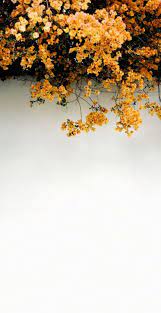 Maybe you would like to learn more about one of these? Image Result For Yellow Tumblr Wallpaper Yellow Theme Yellow Flower Wallpaper Iphone 824x1600 Wallpaper Teahub Io