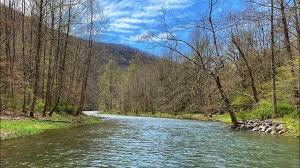 National forest campground guide monongahela national forest campgrounds west virginia Free Camping At Gladwin Dispersed Camping Area Monongahela Nf Wv Youtube