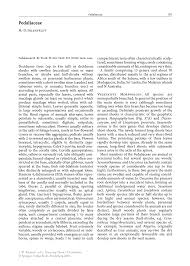 Image result for Ceratotheca integribracteata