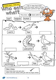 Here S A Nice Set Of Resources On Food Chains Food Chain Activities Food Chain Food Chain Worksheet