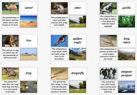 Discover a list of natural and manufactured black items, symbolism related to the color black, and how black is represented in psychology and other cultures. Matching Animals To Their Habitat Ks1 Ks2 Teaching Resources