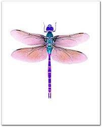 Spring Sale Dragonfly Watercolor Giclee Print Violet Etsy Dragonfly Painting Dragonfly Art Watercolor Dragonfly