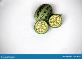 Image result for Cucumis myriocarpus