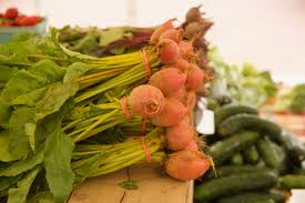 I Love Humans — Haven City Church