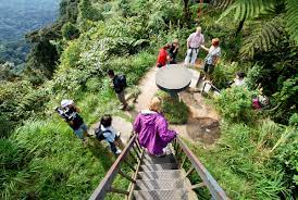 Excludes entrance fee to butterfly park rm 5.00. Mossy Forest Cameron Highlands Malaysia Tea Plantations Valley Views