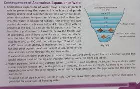 Effects Of Anomalous Expansion Of Water - Youtube