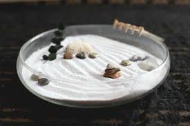 Get white, fine sand (try terrarium or aquarium sand. So Konnen Sie Einen Mini Zen Garten Kreieren