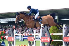 Maybe you would like to learn more about one of these? Buckle Up Malin Baryard Johnsson Falsterbo Horse Show Facebook