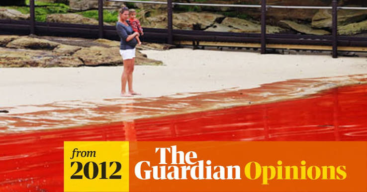 A sea of red that evokes thoughts of more than just algae | Jonathan Jones  | The Guardian