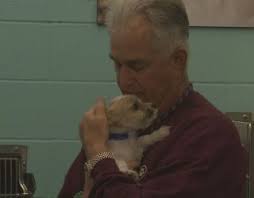 Extraordinary Ordinary: 'Surgery snuggler' comforts rescue dogs