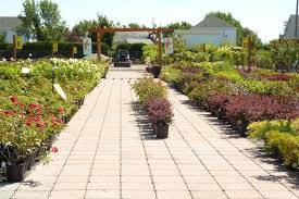 Articles A Propos De Centre Jardinage Granby Sur Quebec Vert La Revue Des Professionnels De L Horticulture