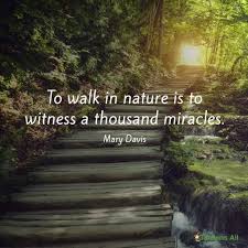 Pin By Paige Prater On Quotes Thoughts Love Nature Quotes Nature Quotes Inspirational Nature Quotes Beautiful