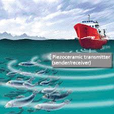 Hasil gambar untuk gambar sonar