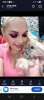 Lost dog Donut found near US address