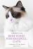 5 Best Cat Foods for Ragdoll Cats 2020 | Cat Mania