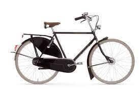 Hollandrad vergleich & tests 2021 und die aktuelle hollandräder empfehlung auf strawpoll.de. Gazelle Herren Hollandrad Tour Populair T8 Usa 28 Zoll Nexus 8 28 Zoll 8 Gang Hollandrad Greenbike