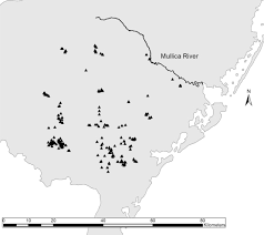 For the fastest pest control service available, call us today for 24/7 emergency pest control the price was way better than the 5 companies i called earlier that day and i spoke directly to someone. Old Pests In New Places Effects Of Stand Structure And Forest Type On Susceptibility To A Bark Beetle On The Edge Of Its Native Range Sciencedirect