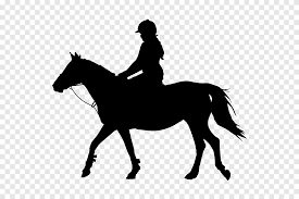 Vergleichen sie silhouette mit ähnlichen produkten und finden sie den besten preis Horse Rider Equestrian Silhouette Horse Riding Horse Animals Png Pngegg
