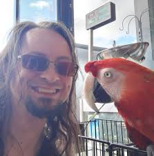 What are safe methods for controlling flies around chicken coops?