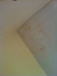Damp Patch On Ceiling Picture Of Grenville House Hotel London Tripadvisor