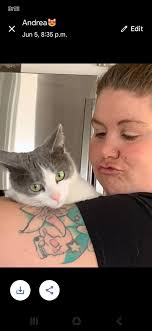 Lost cat in Greeley area near Snake Island Rd