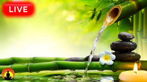 Relaxing Music 24 7 Meditation Music Healing Music Spa Music Zen Sleep Yoga Study Music Youtube