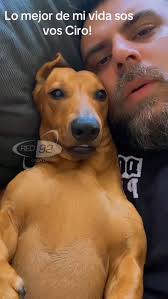 🐶 ¿Juntada de perros Golden Retriever? Gonzalo tiene algo que decir al  respecto 🫣 No te pierdas #DecimeAlgoLindo todos los martes a las 11 por  #morenoteve en Youtube ✨️ #mascota #perros #gatos #moreno #stream