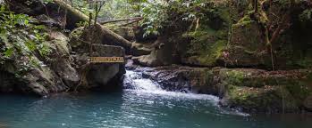 Chartered boat (maximum 14 pax per boat) available from 8.00am to 3.00pm Mutiara Taman Negara 4d3n Explorer Package Taman Negara Malaysia Land Only Tour Af Travel