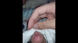 Потерял счет тому, сколько раз я чистил свой грязный свиной член,  потерянный в камшоте